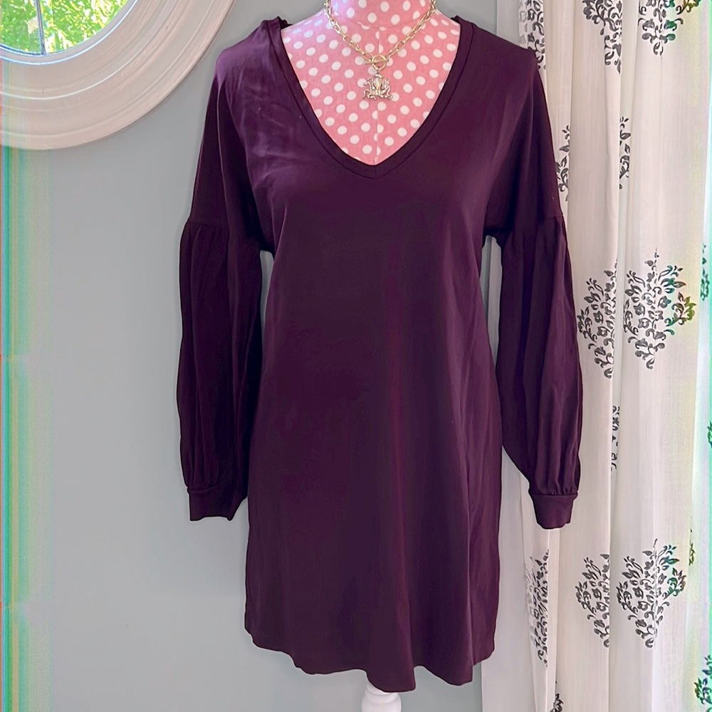 Express Tunic Dress Size M